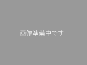 画像準備中です